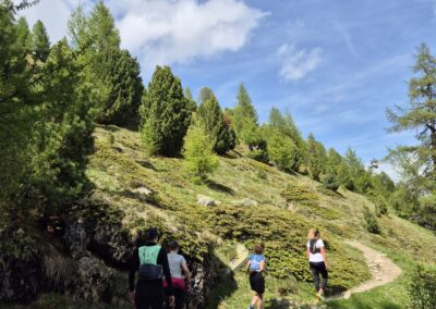 Trailrunning Silvaplana Engadin